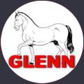 GLENN WEB CONSOLE